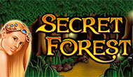 Secret Forest